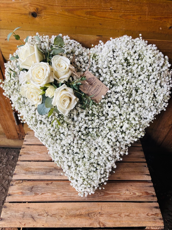 Gypsophila Heart