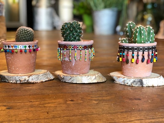 Cactus trio