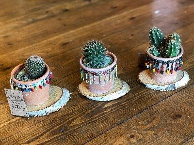 Cactus trio