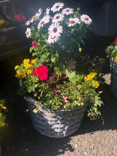 Mixed planter