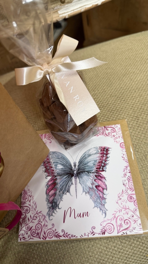 Azalea Plant Gift Set