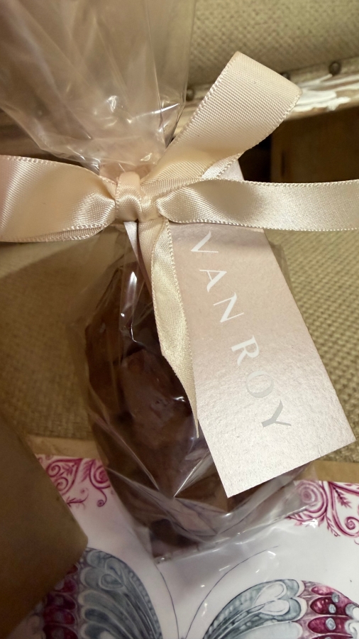 Azalea Plant Gift Set