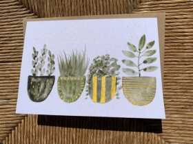 Lois Riley Cards