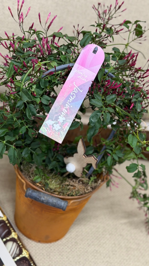 Easter Jasmine Gift Set