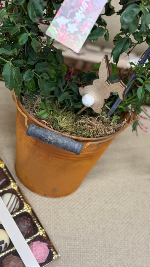 Easter Jasmine Gift Set