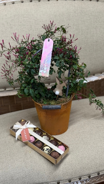Easter Jasmine Gift Set