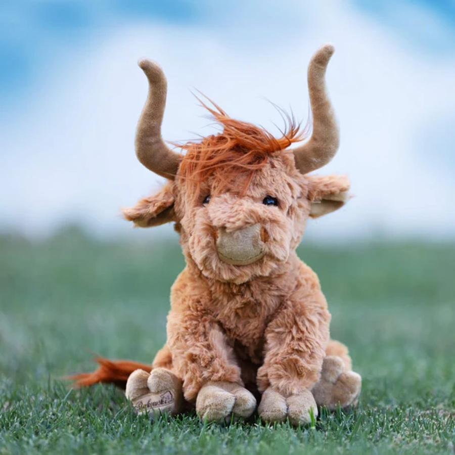 Henderson Highland Cow