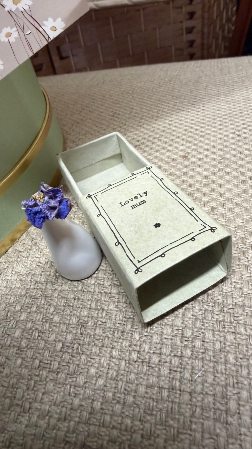 Jasmine Plant Gift Set