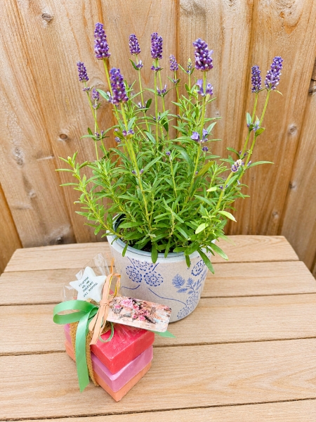 Lavender Treat and Treasure