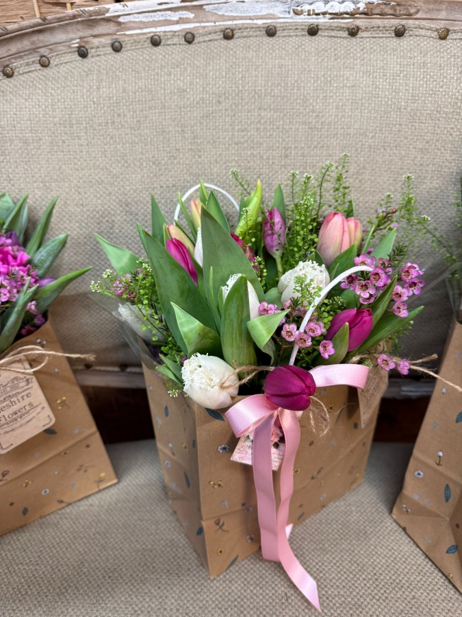 Little bag of Spring