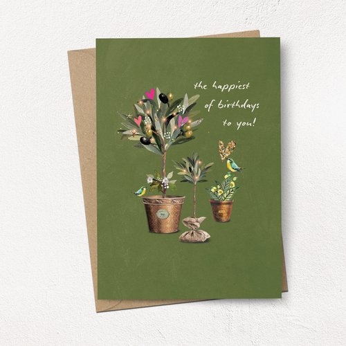 Olive Tree Birthday