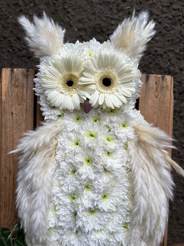 Owl Tribute