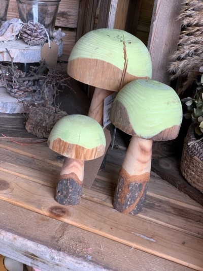 Set of 3 Wooden Mushroom's