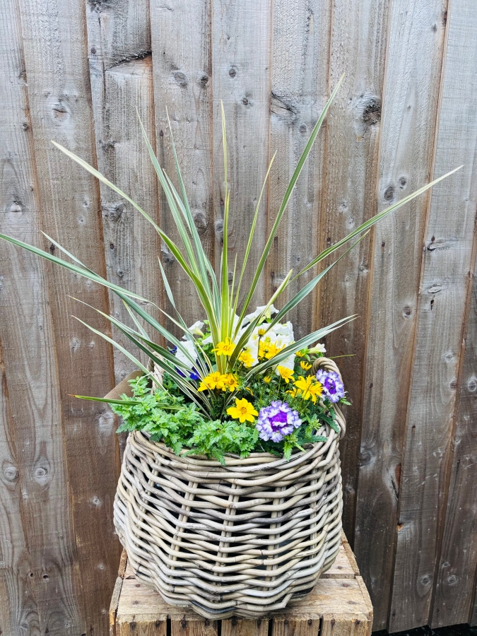 Summer Basket Planter