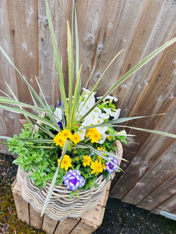 Summer Basket Planter