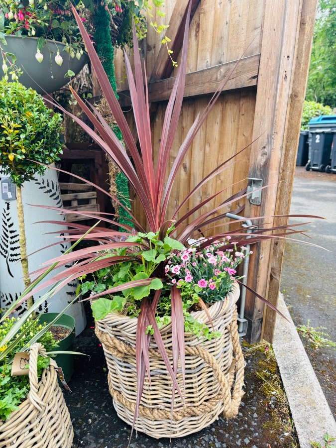 Summer Basket Planter