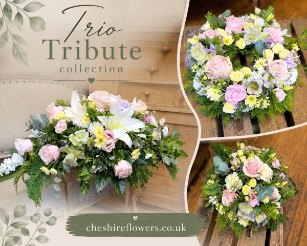 Trio Tribute Collection