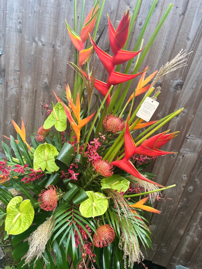Tropical Paradise Showstopper