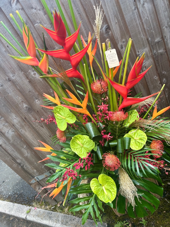 Tropical Paradise Showstopper