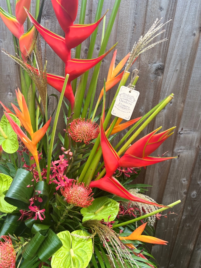 Tropical Paradise Showstopper
