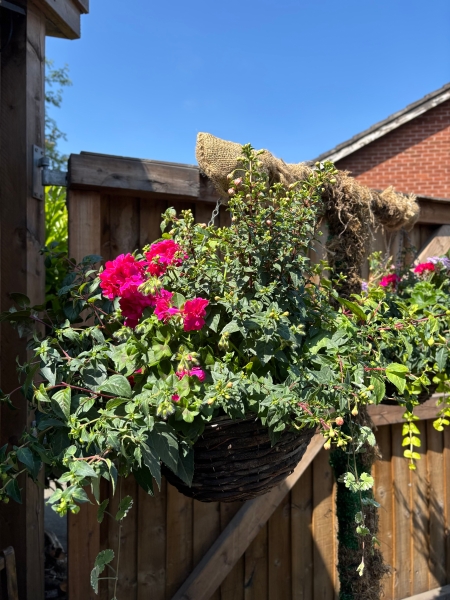 Wicker Hanging Basket