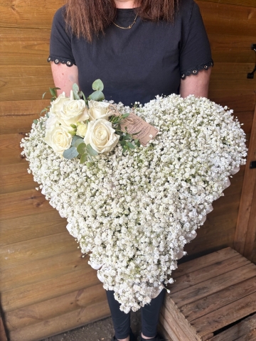 Gypsophila Heart