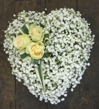 Small Gypsophila Heart