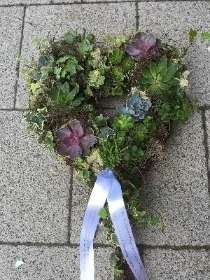 Succulent wreath 