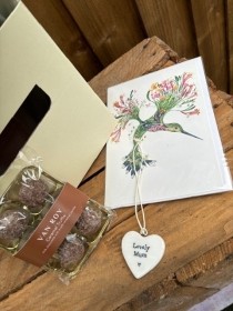 Hydrangea Plant Gift set