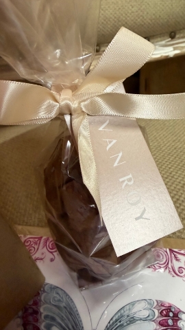 Azalea Plant Gift Set