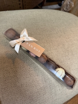 Palm Plant gift Set
