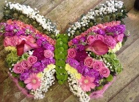  Butterfly Tribute 