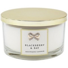 Blackberry and bay double wick