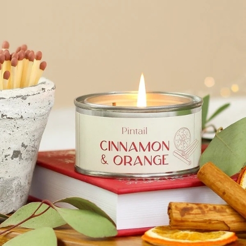 Cinnamon & Orange Pintail Paintpot Candle