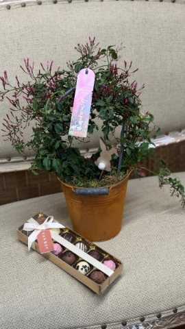 Easter Jasmine Gift Set