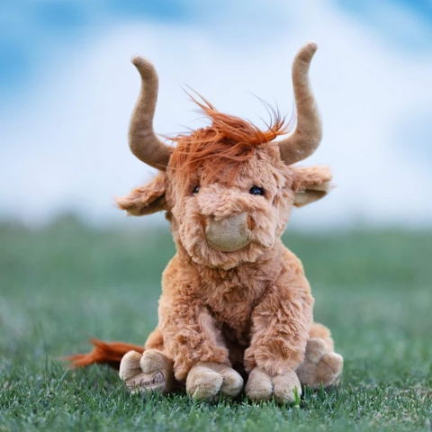 Henderson Highland Cow