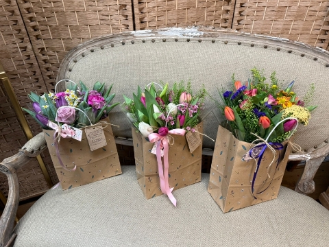 Little bag of Spring