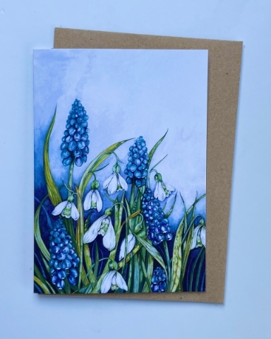 Muscari & Snowdrop