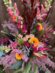 Rustic in the Fall