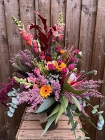Rustic in the Fall