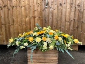 Seasonal Yellow Coffin Spray