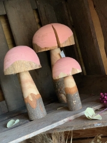 Set of 3 Wooden Mushroom's