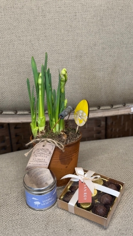 Spring Morning Gift Set