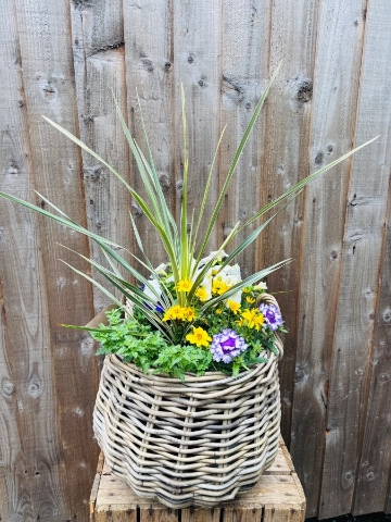 Summer Basket Planter