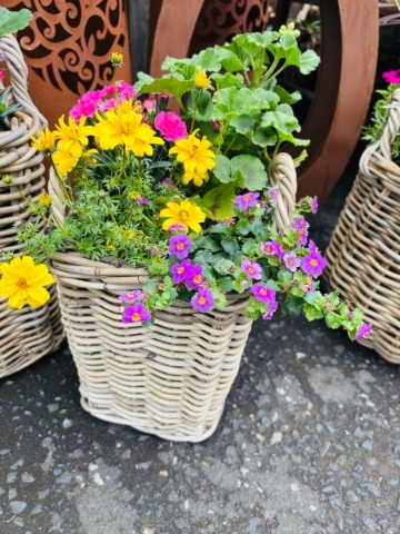 Summer Basket Planter