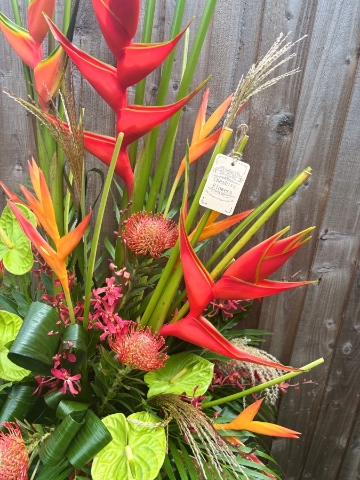 Tropical Paradise Showstopper